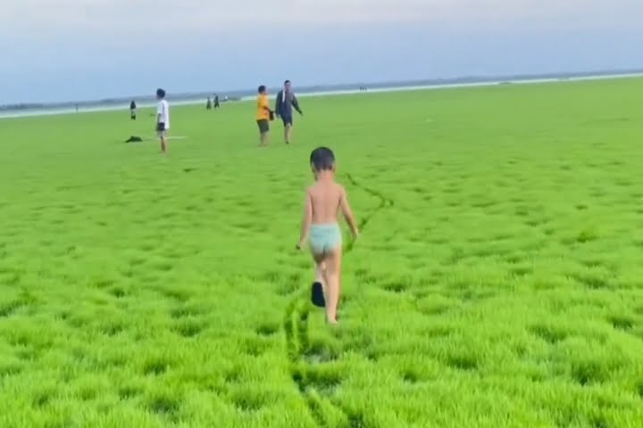 DAMPAK MUSON , DESA PELA SULAP WISATA DANAU MENJADI DESTINASI BIOMA STEPA