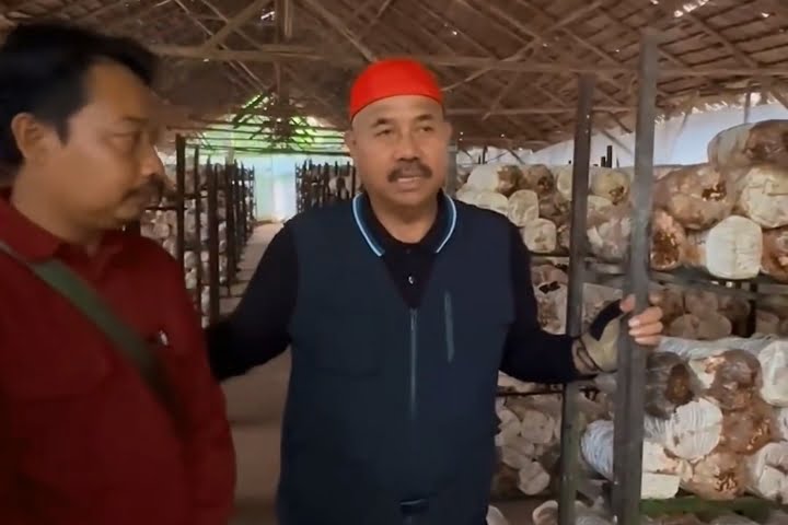Bupati Kukar Edi Damansyah Ajak Masyarakat Ikut Kembangkan Usaha Jamur Tiram